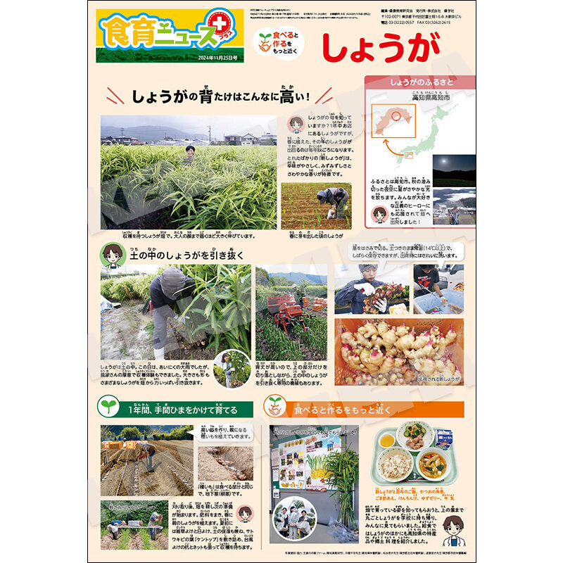 食育フォーラム｜2024年6月号｜健学社